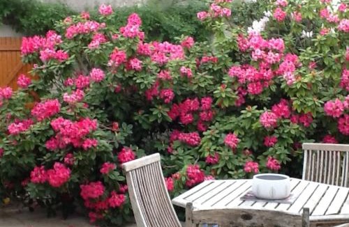 Azay-le-Ferron Bed & Breakfast | Domaine de la Botterie