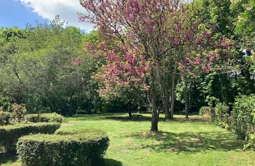 Parce-sur-Sarthe House | Domaine de la Béchetière au cœur de la campagne Sarthoise.