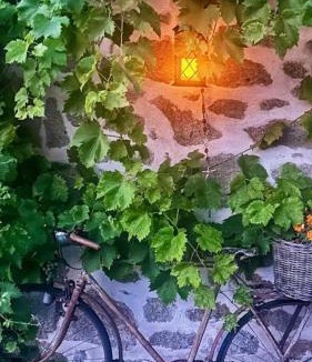 Saint-Vaury House | Domaine de la Jarrige