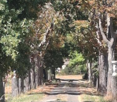 Castelsarrasin House | Domaine De Mathabiau