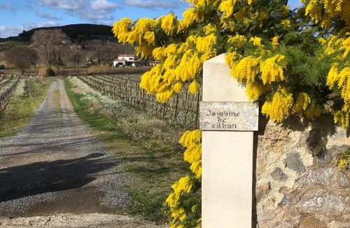 Roujan Bed & Breakfast | Domaine de Peilhan