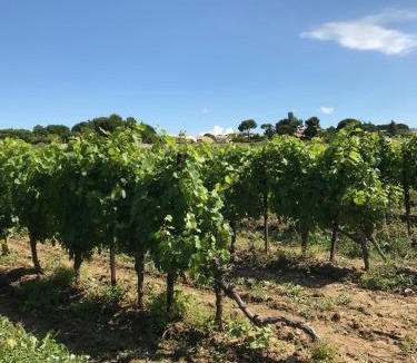 Roujan Bed & Breakfast | Domaine de Peilhan