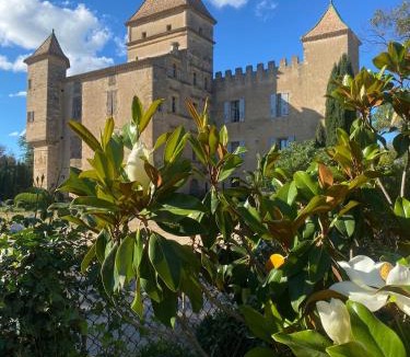 Lieuran-les-Beziers House | Domaine de Ribaute
