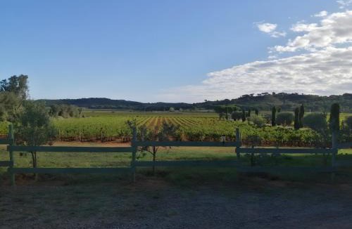 Bizanet Bed & Breakfast | Domaine De Saint Jean