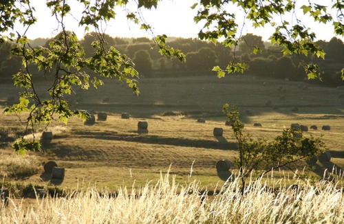 Saint-Saulge Bed & Breakfast | Domaine de Savigny