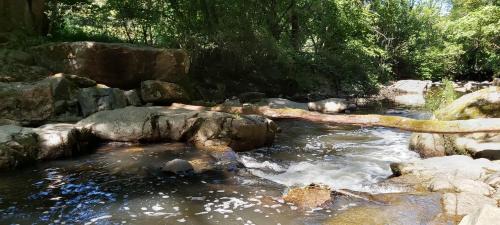 Bully House | Domaine de Solémy