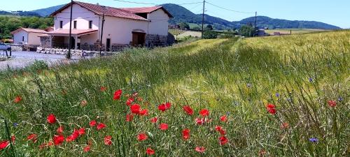 Bully House | Domaine de Solémy