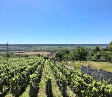 Venteuil Villa | Domaine de Tincourt, Authentic Champagne house