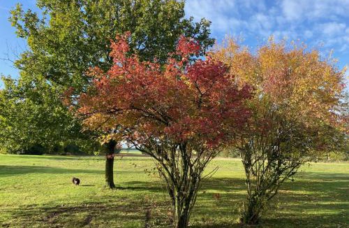 Villers-les-Ormes Bed & Breakfast | Domaine de Treuillaud
