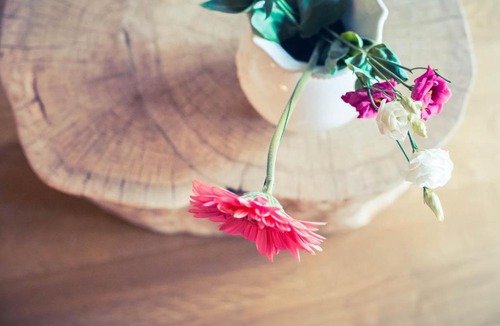 Barberey-aux-Moines Bed & Breakfast | Domaine de Vermoise