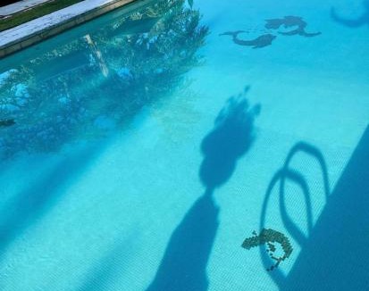 Vouvray Bed & Breakfast | Domaine Des Bidaudieres