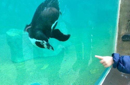 Pruniers-en-Sologne Bed & Breakfast | Domaine des Bois Argentés