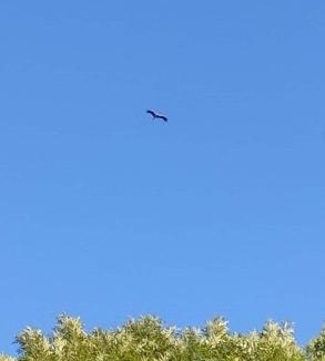 Berville-sur-Mer House | Domaine des Cerisiers - Accès direct piste cyclable reliant Honfleur - Parking privé