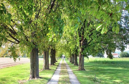 Tourtrol House | Domaine des Marronniers
