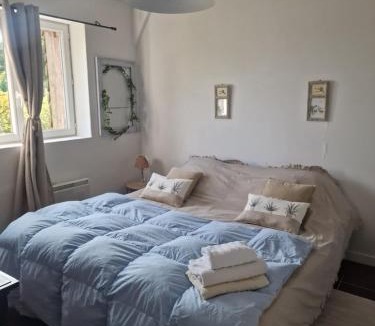 Brains-sur-Gee House | Domaine des Touches