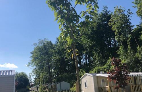 La Calotterie Other | Domaine du Blanc Pignon