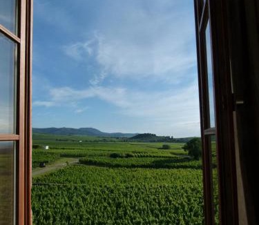 Mittelwihr Apartment | Domaine du Bouxhof