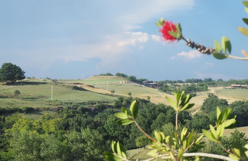 Lapenne Other | Domaine du Cammazet, lovely holiday home on a large estate near Mirepoix