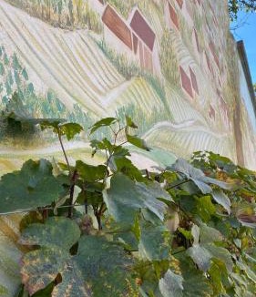 Sezanne Bed & Breakfast | Domaine du Cellier de la Couronne