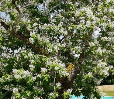 Larzac House | Domaine du Champ de l'Hoste
