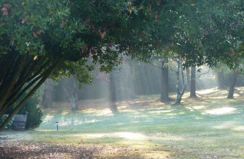 Angouleme Bed & Breakfast | Domaine du Champ Fleuri
