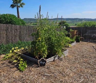 Campagnan Other | DOMAINE DU CHENE