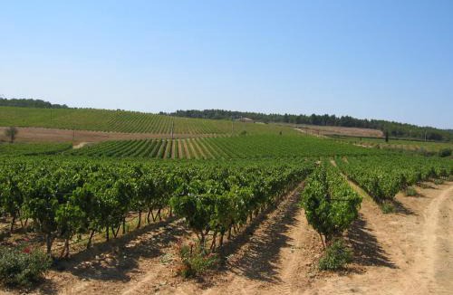 Pertuis Bed & Breakfast | Domaine du Coffre