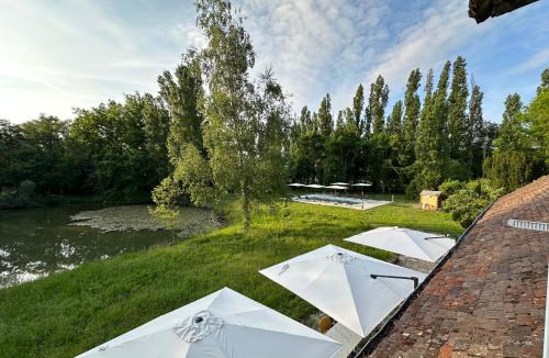 Chevillon-sur-Huillard Villa | Domaine du Patineau