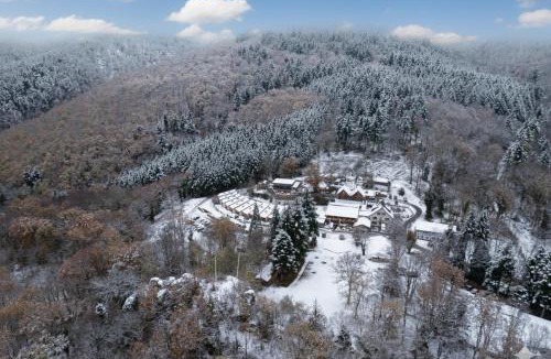 Wattwiller Apartment | Domaine du Hirtz, Restaurant & Spa