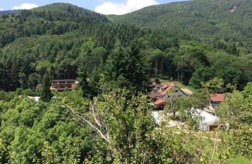 Wattwiller Apartment | Domaine du Hirtz, Restaurant & Spa