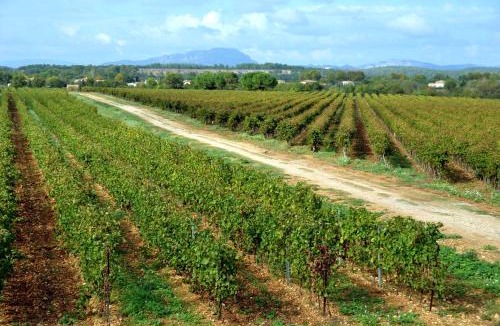 Le Cres House | Domaine du Mas du Pont