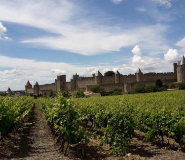 City of Carcassonne House | Domaine Fontgrande Gîte