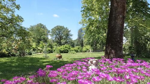 Saint-Affrique-les-Montagnes Bed & Breakfast | Domaine de Rasigous