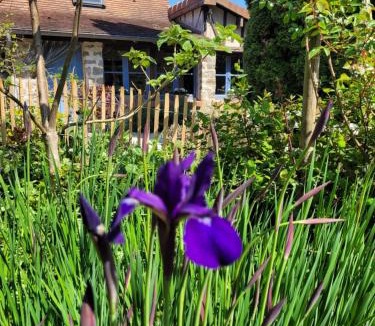 Saint-Denis-de-Villenette House | Domaine Bel Air 855 - Gîte Belle
