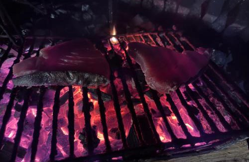 Saint-Genies-des-Mourgues Hotel | Domaine du Bérange