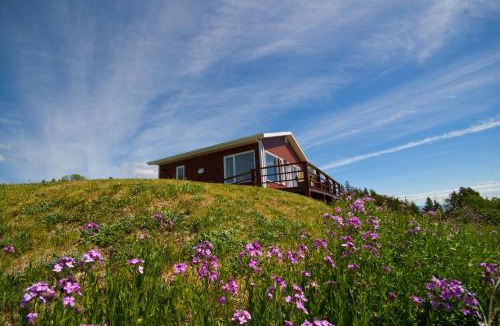 Cap-a-l'Aigle Ski Chalet | Domaine Frais Air