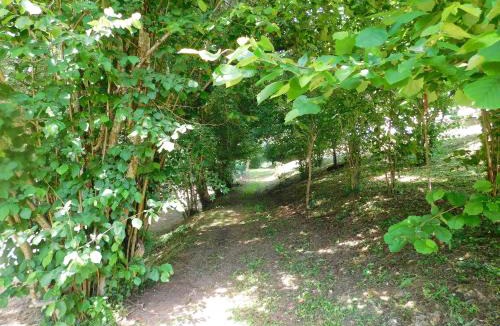 Cleyrac Bed & Breakfast | Domaine La Bastide