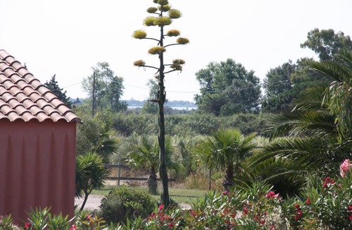 Saint-Nazaire Apartment | Domaine la Colomine