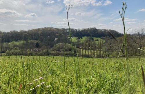 Salies-de-Bearn House | Domaine Labouroume