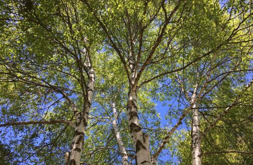 Aydat Hotel | Domaine les 2 Mondes