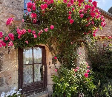 Doue-en-Anjou House | Domaine les roses du vieux chai