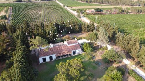 Canohes Bed & Breakfast | DOMAINE LES VINYES