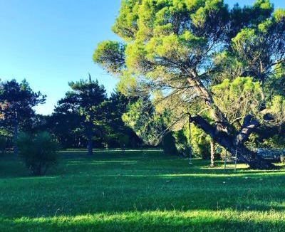 Canohes Bed & Breakfast | DOMAINE LES VINYES