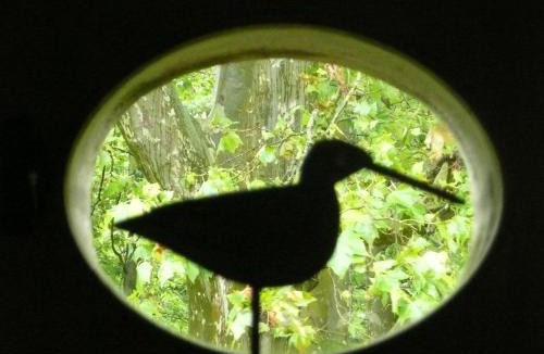 Castetnau-Camblong Bed & Breakfast | Domaine Lespoune