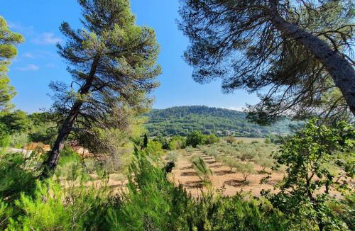 Villelaure House | Domaine Lou Amì