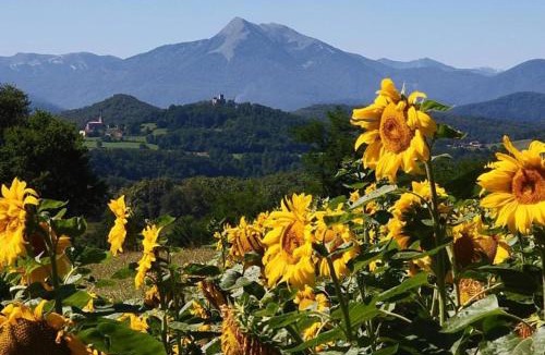 Estadens House | Domaine Pyrénées Passions - Gîtes de Charmes & Caractère