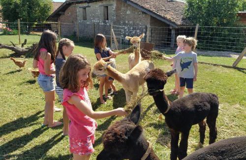 Fongrave Bed & Breakfast | Domaine Ramonjavel, glamping & alpaca's