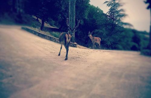 Ladern-sur-Lauquet House | Domaine Saint Andrieu