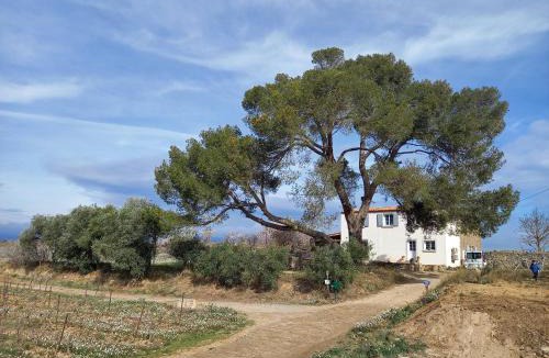 Rieux-Minervois House | Domaine Saint Augustin