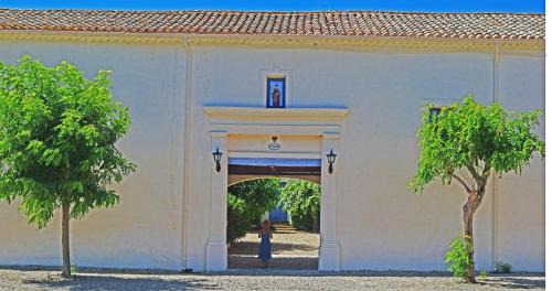 Nizas House | Domaine Saint Ferreol